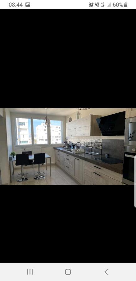 Appartement Laurent Bonnevay Villeurbanne Esterno foto