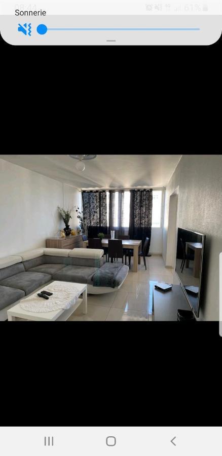 Appartement Laurent Bonnevay Villeurbanne Esterno foto